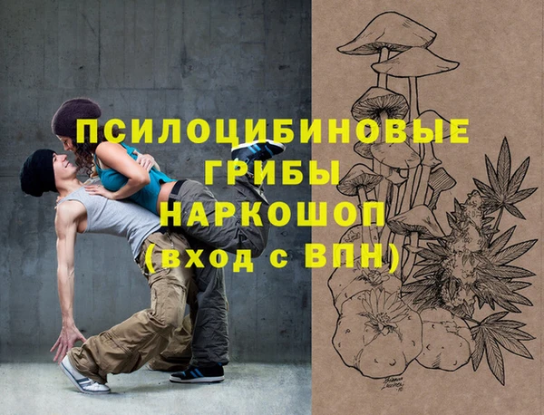 молекула духа Володарск