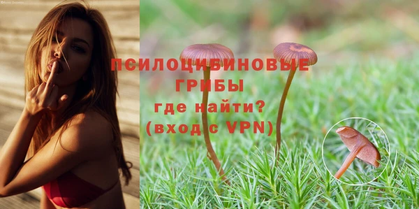 молекула духа Володарск