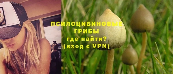 молекула духа Володарск