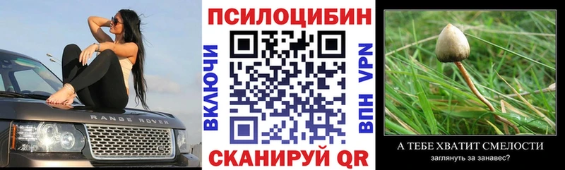 Галлюциногенные грибы GOLDEN TEACHER  Высоковск 